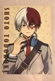 Todoroki shoto 0003