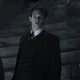 Theseus Scamander