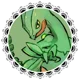 PKMN - SCEPTILE