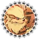 PKMN - ARCANINE