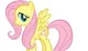 Fluttershy - MLP