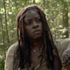 Michonne Grimes