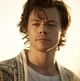 Harry Styles 