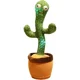 Cactus Toy