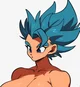 Fem Gogeta 