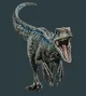 Rapter 