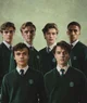 Slytherin gang 