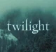 Twilight saga Future