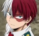 Shoto Todoroki