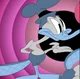 Quirky the platypus 