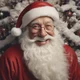 Santas little helper