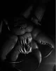 Ungoliant
