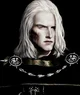 Brynden Rivers