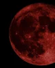 WereWolfs-Blood Moon