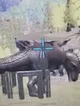 Giganotosaurus