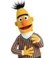 Bert
