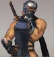 Ryu Hayabusa