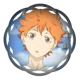 Shoyo Hinata