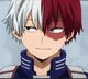 Shoto Todoroki 