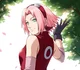 Sakura Haruno 