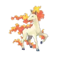 freaky rapidash