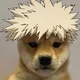 Katsuki DOG