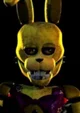 Afton Springbonie 