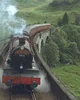Hogwarts Express