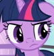 Twilight sparkle