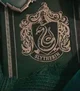 Slytherin boys