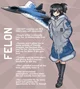 SU-57 Felon