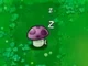 Sleeping PShroom