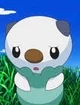 Oshawott
