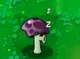 Sleeping SShroom 