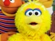 Baby Big Bird