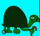 Gordy Tortoise