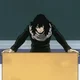 Shota Aizawa