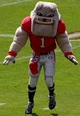 Mascot Tryouts