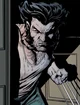 Wolverine 