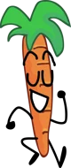 Carrot