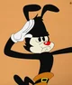 Yakko Warner