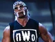 Hollywood Hulk Hogan