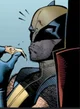 Wolverine 