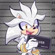 Silver the Hedgehog 