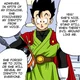 Son Gohan