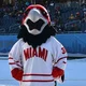Swoop the redhawk