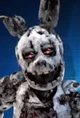 Springtrap 4 closet
