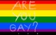Gay quiz