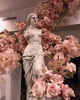 Goddess Aphrodite