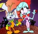 Zippy and zera 